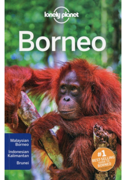 Lonely planet Borneo
