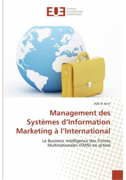 Management des systèmes d information marketing à l international