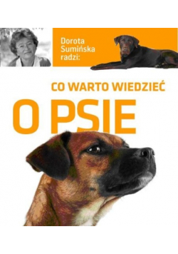 Co warto wiedzieć o psie