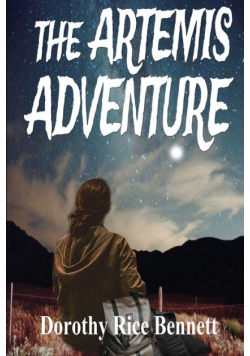 The Artemis Adventure