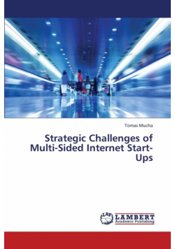 Strategic Challenges of Multi-Sided Internet Start-Ups