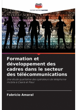Formation et développement des cadres dans le secteur des télécommunications