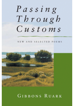 Passing Through Customs