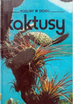 Kaktusy rośliny w domu