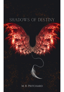 Shadows of Destiny