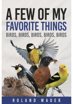 Favorite Things