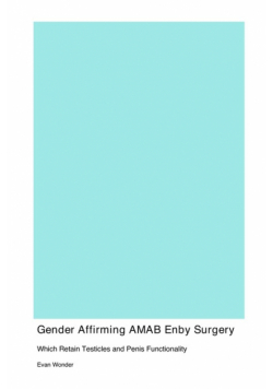 Gender Affirming Surgery for AMAB Enbies Which Retain Testicles and Penis Functionality Despite Reconfiguring Their Geometry But Also Create A Functional Neovagina That Is Aesthetically Pleasing