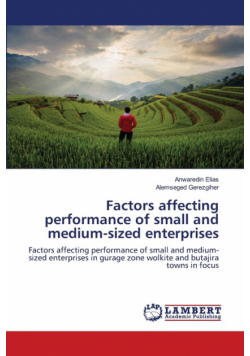 Factors affecting performance of small and medium-sized enterprises