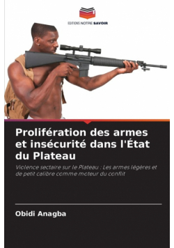 Prolifération des armes et insécurité dans l'État du Plateau