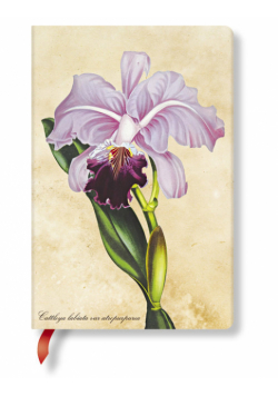 Notatnik Brazilian Orchid Mini linia