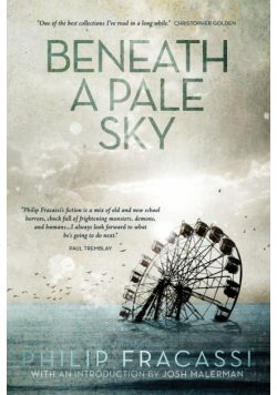 Beneath a Pale Sky