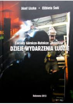 Zakłady górniczo hutnicze bolesław