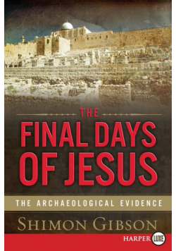 Final Days of Jesus LP, The