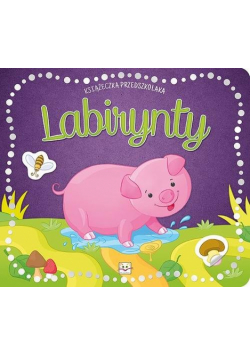 Książeczka przedszkolaka Labirynty