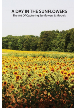A day in the sunflowers