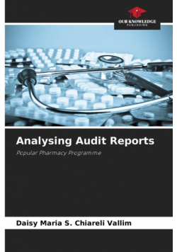 Analysing Audit Reports