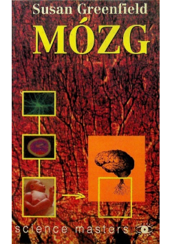 Mózg