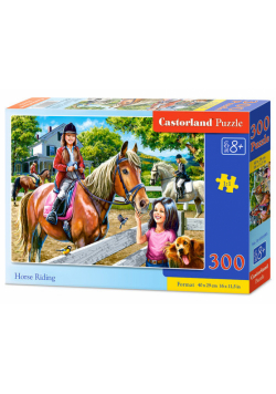 Puzzle Horse Riding 300