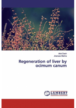 Regeneration of liver by ocimum canum