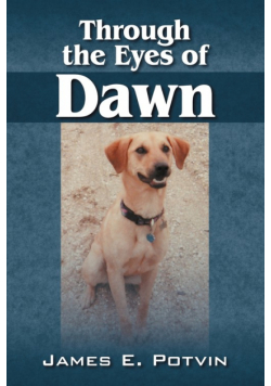 Through the Eyes of Dawn