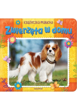 Zwierzęta w domu Książeczka malucha
