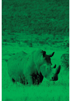 Alive! white rhino - Green duotone - Photo Art Notebooks (6 x 9 series)