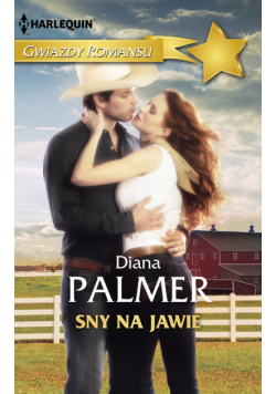 Sny na jawie