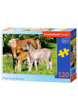 Puzzle Ponies in the Meadow 120