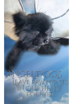 Angel Dog  Journal