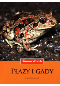 Płazy i gady. Fauna Polski