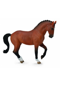 Koń Hanowerski Gniady XL