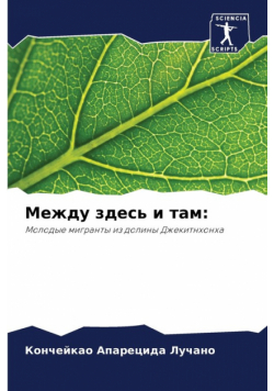 Между здесь и там