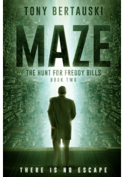 Maze