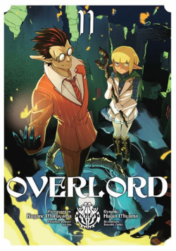 Overlord. Tom 11