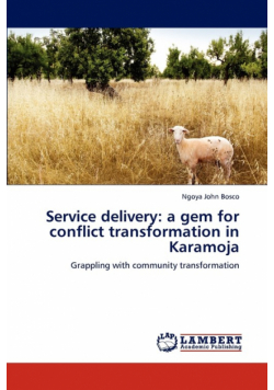 Service Delivery