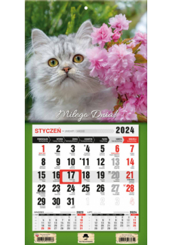 Kalendarz 2024 jednodzielny mini z magnesem Kotek KTJ-2 mini v15