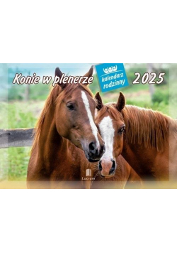 Kalendarz 2025 Rodzinny Konie w plenerze