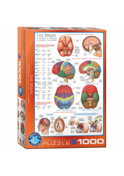 Puzzle 1000 The Brain 6000-0256