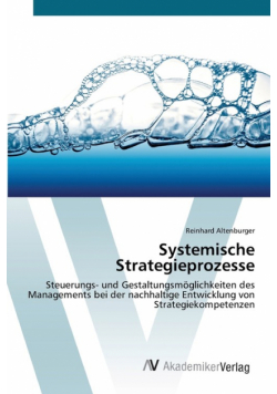 Systemische Strategieprozesse