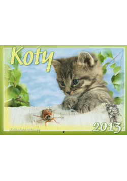Kalendarz 2013 WL 9 Koty