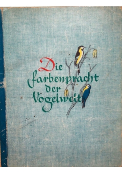 Die farbenpracht der Vogelwelt
