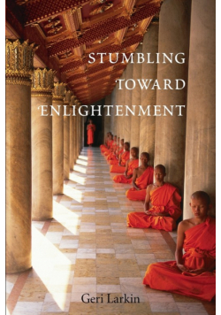 Stumbling Toward Enlightenment