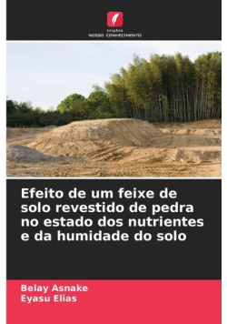 Efeito de um feixe de solo revestido de pedra no estado dos nutrientes e da humidade do solo