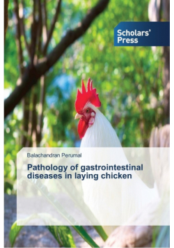 Pathology of gastrointestinal diseases in laying chicken