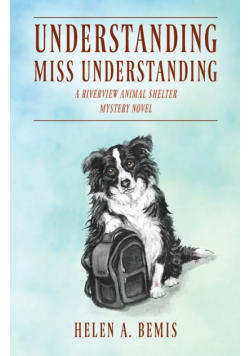 Understanding Miss Understanding