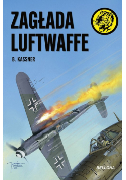 Zagłada Luftwaffe