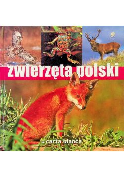 Zwierzęta polski
