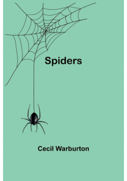 Spiders
