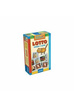 Lotto misie i rysie