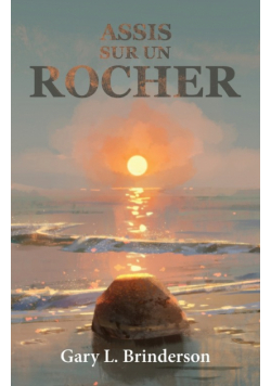 Assis sur un rocher